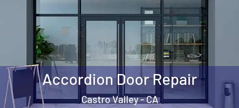  Accordion Door Repair Castro Valley - CA
