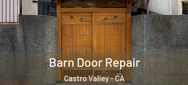  Barn Door Repair Castro Valley - CA