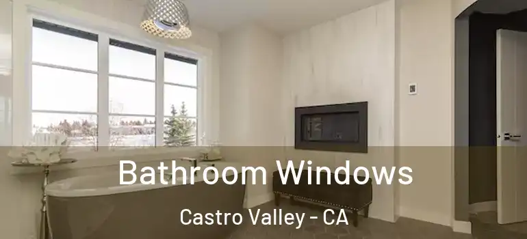  Bathroom Windows Castro Valley - CA