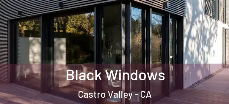  Black Windows Castro Valley - CA