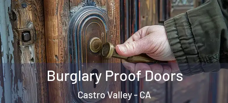  Burglary Proof Doors Castro Valley - CA