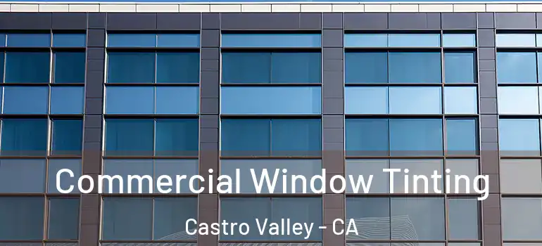  Commercial Window Tinting Castro Valley - CA