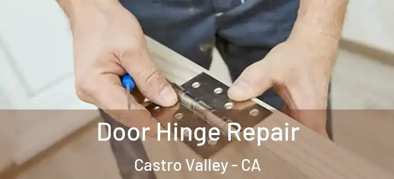  Door Hinge Repair Castro Valley - CA