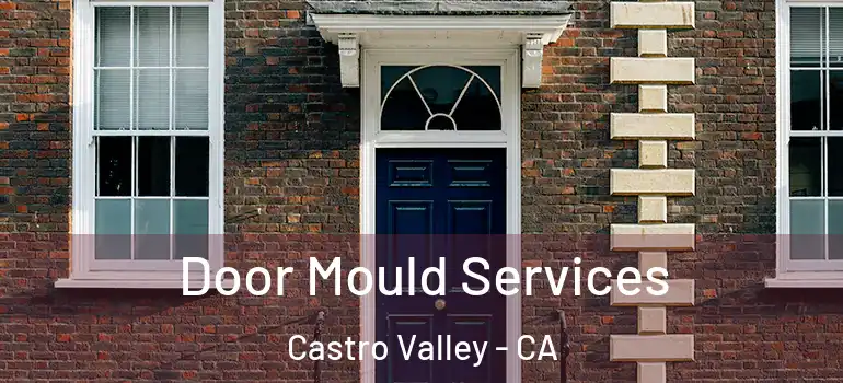  Door Mould Services Castro Valley - CA