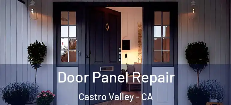  Door Panel Repair Castro Valley - CA