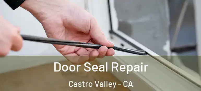  Door Seal Repair Castro Valley - CA