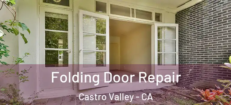  Folding Door Repair Castro Valley - CA