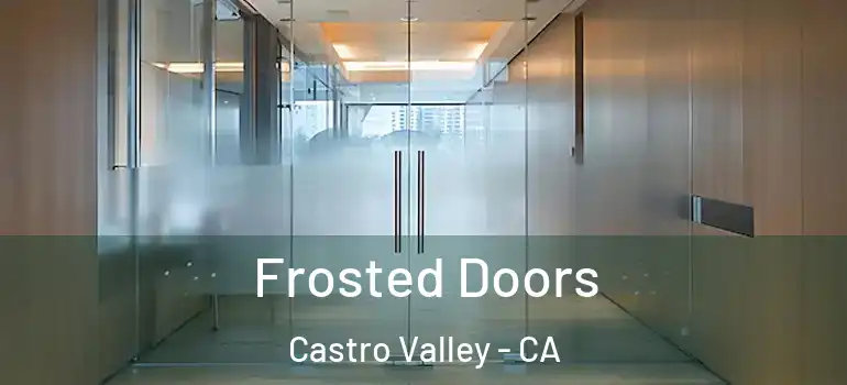  Frosted Doors Castro Valley - CA