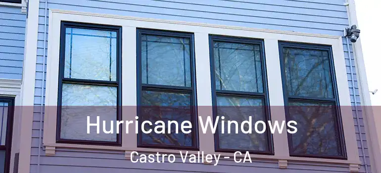  Hurricane Windows Castro Valley - CA
