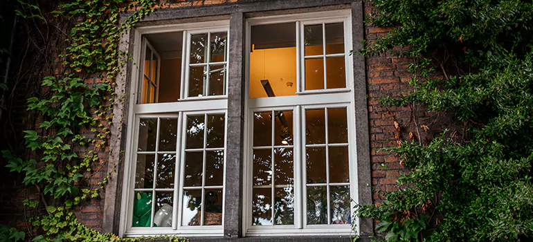 Energy Efficient Wood Windows in Castro Valley, CA