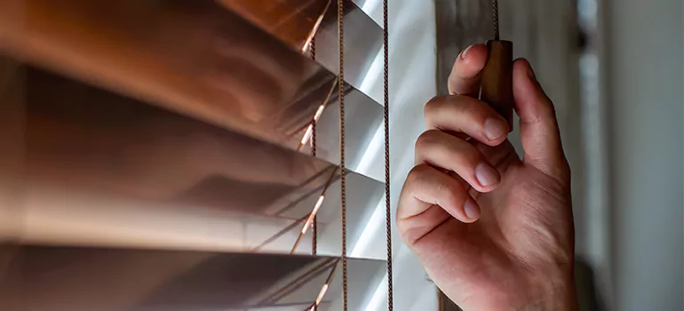 Double Roller Blinds in Castro Valley, CA