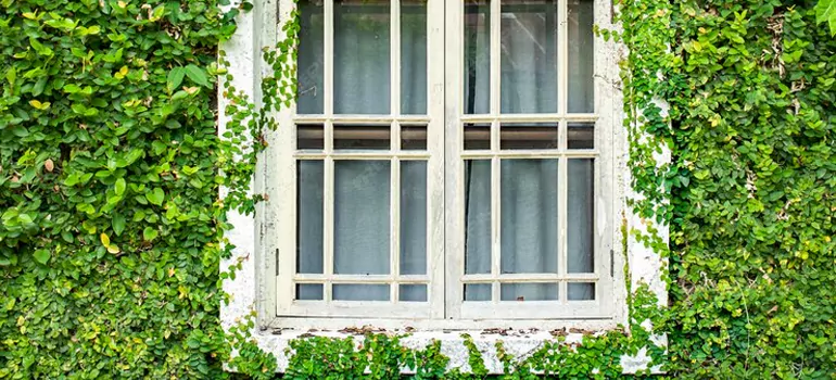 Garden Window Repair Near Me in Castro Valley, CA