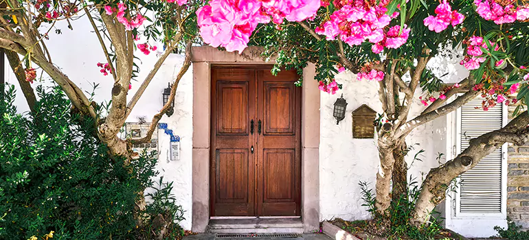Traditional 4 Panel Internal Doors in Castro Valley, CA