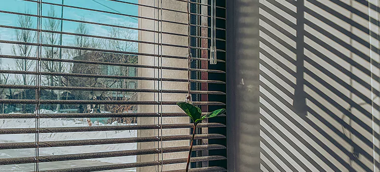 Commercial Window Blinds in Castro Valley, CA