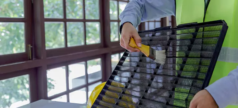 Traditional Window Grille Installation Options in Castro Valley, CA