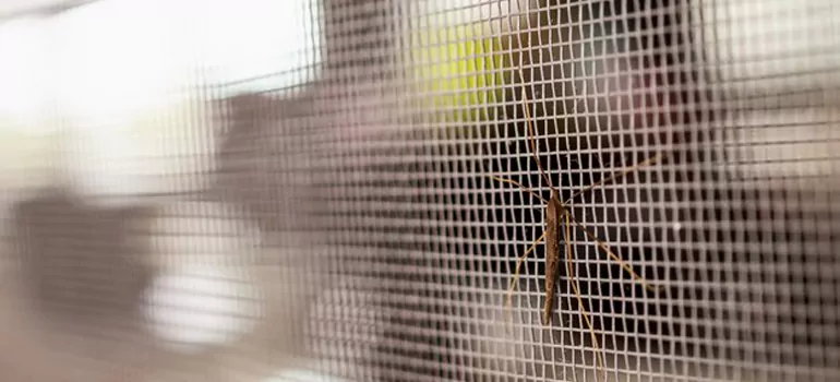 Repair Mosquito Mesh For Windows in Castro Valley, CA
