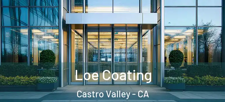  Loe Coating Castro Valley - CA