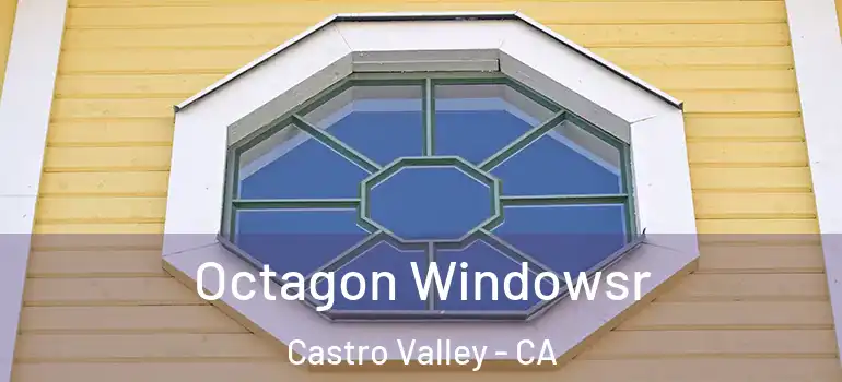  Octagon Windowsr Castro Valley - CA