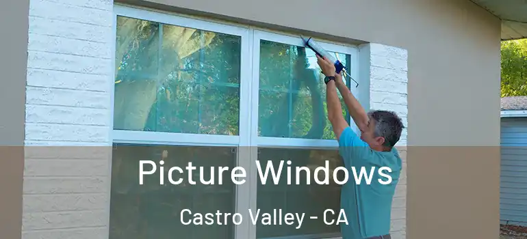  Picture Windows Castro Valley - CA