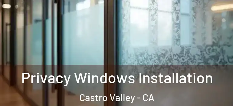  Privacy Windows Installation Castro Valley - CA
