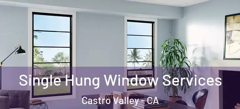  Single Hung Window Services Castro Valley - CA