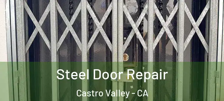  Steel Door Repair Castro Valley - CA