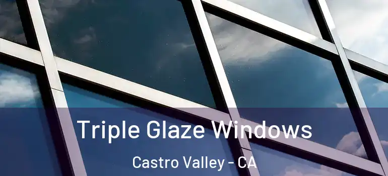  Triple Glaze Windows Castro Valley - CA