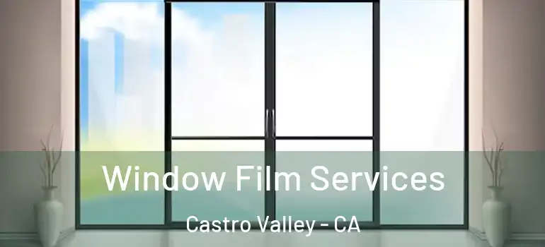  Window Film Services Castro Valley - CA