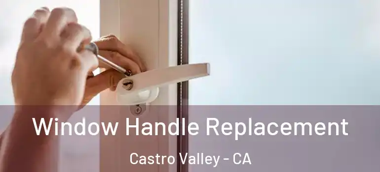  Window Handle Replacement Castro Valley - CA