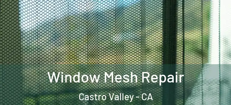 Window Mesh Repair Castro Valley - CA