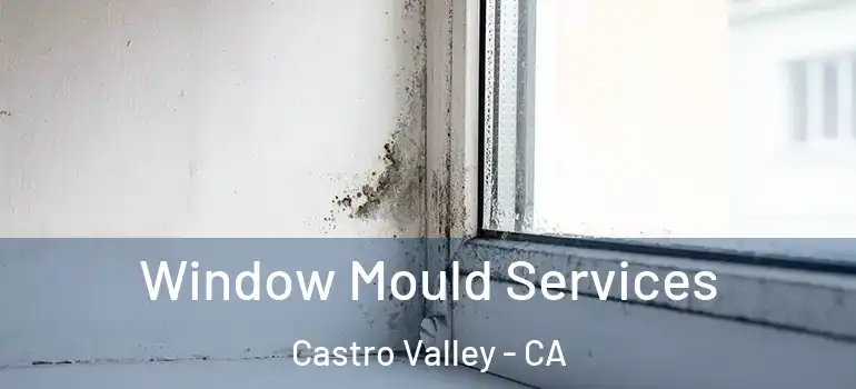  Window Mould Services Castro Valley - CA