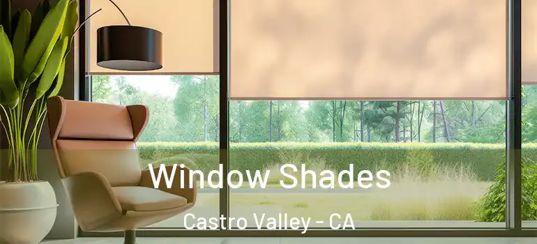  Window Shades Castro Valley - CA