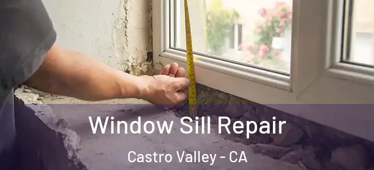  Window Sill Repair Castro Valley - CA