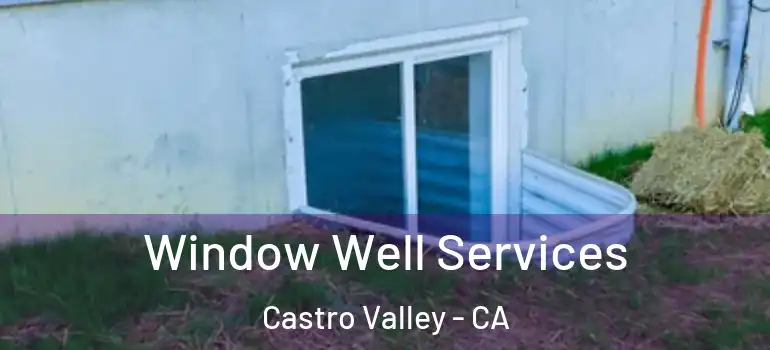  Window Well Services Castro Valley - CA